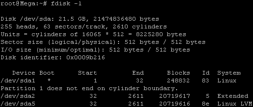 fdisk of newly added disk