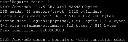fdisk of newly added disk