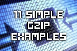 Gzip Compression Command Examples