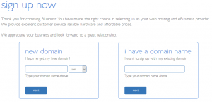 Bluehost WordPress Hosting Domain Selection