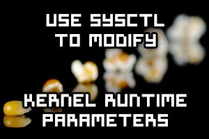 Use sysctl to modify kernel runtime parameters