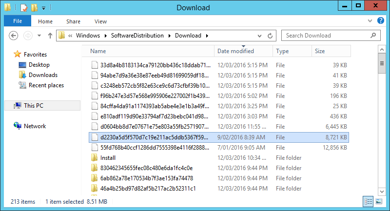 Windows Update Download Folder