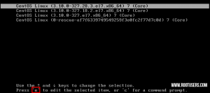 Linux Reset Root Password Boot Options