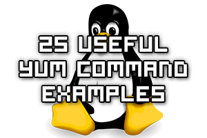 How To Use Yum - Command Examples