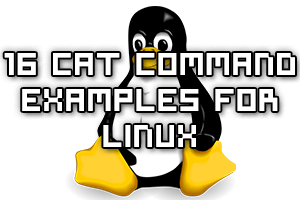 Cat Command Examples For Linux