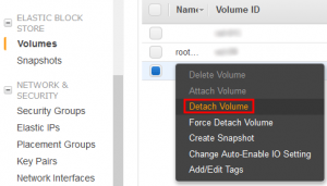 AWS Detach Volume From EC2 Instance