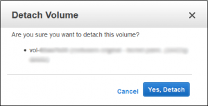 AWS Detach Volume Confirmation