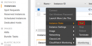 AWS Start EC2 Instance