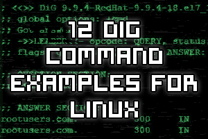 Dig Command Examples Linux