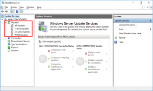 WSUS Update Types