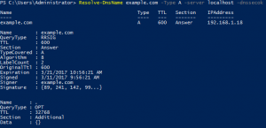 PowerShell Resolve-DnsName