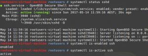 Linux Mint systemctl ssh