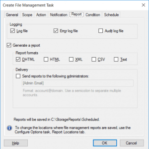 Create File Management Task - Report Tab