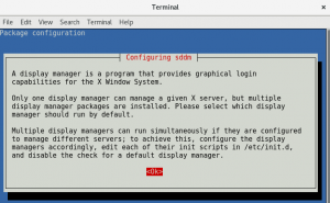 Debian - One Display Manager