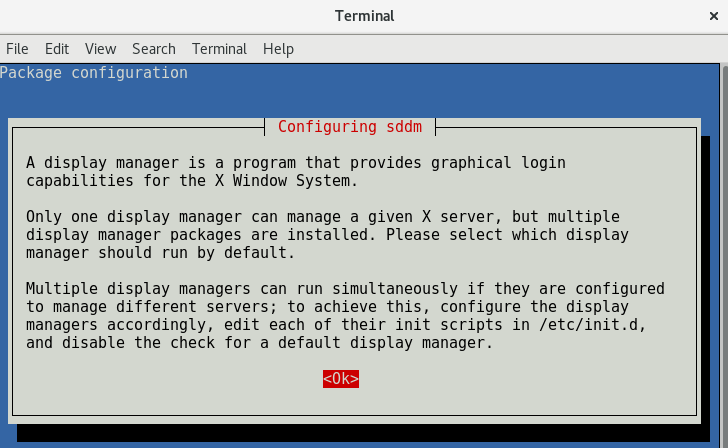 Debian - One Display Manager