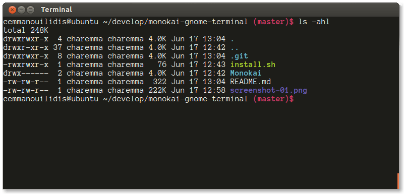 Image of a terminal emulator program