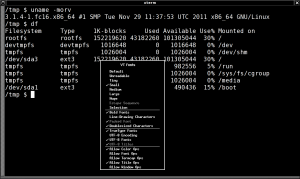 XTerm Terminal