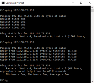 Command Prompt Ping Example