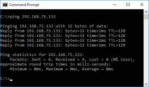 Command Prompt Ping Example