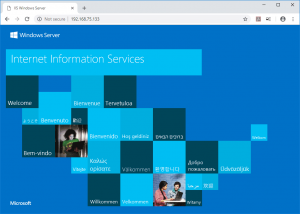 Windows Server 2019 IIS default web page