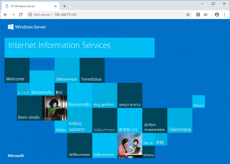How to install iis in windows server 2019 rootusers